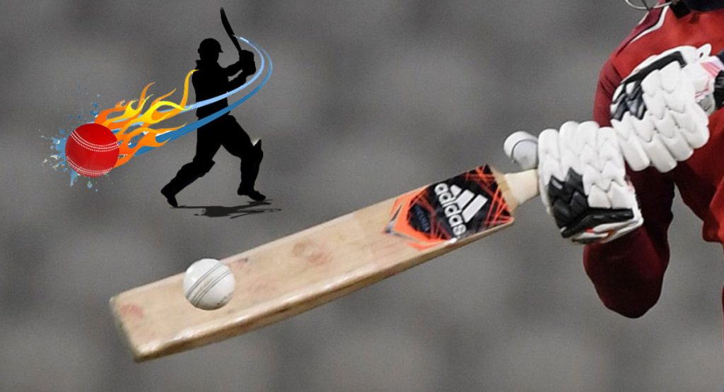 Cricket betting includes proper knowledge of betting and predictions